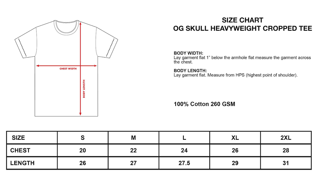 OG Skull Heavyweight Cropped Tee